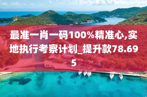 最准一肖一码100%精准心,实地执行考察计划_提升款78.695