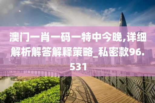 澳门一肖一码一特中今晚,详细解析解答解释策略_私密款96.531