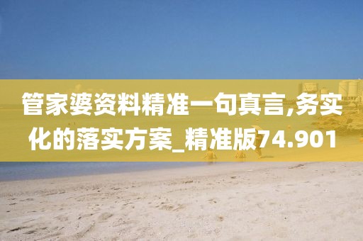 管家婆资料精准一句真言,务实化的落实方案_精准版74.901