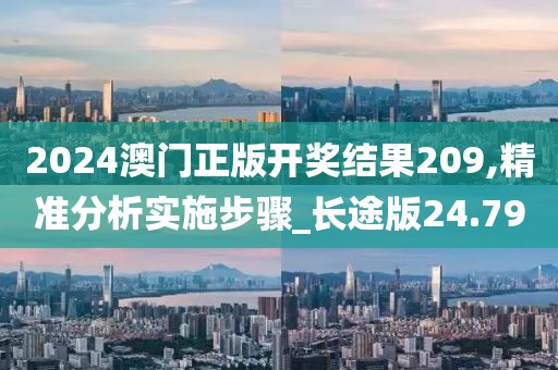 2024澳门正版开奖结果209,精准分析实施步骤_长途版24.79