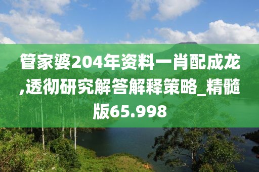 管家婆204年资料一肖配成龙,透彻研究解答解释策略_精髓版65.998