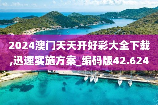 2024澳门天天开好彩大全下载,迅速实施方案_编码版42.624