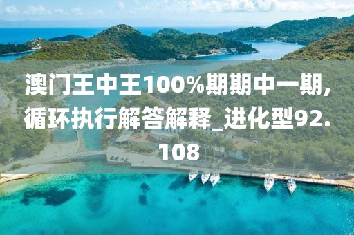 澳门王中王100%期期中一期,循环执行解答解释_进化型92.108