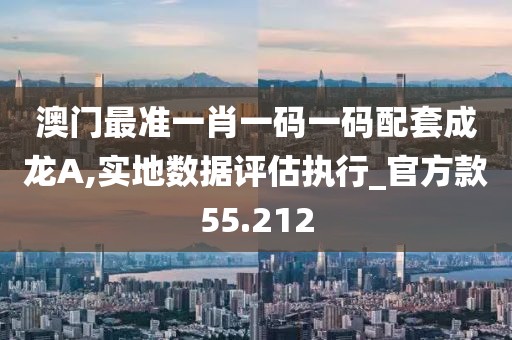 澳门最准一肖一码一码配套成龙A,实地数据评估执行_官方款55.212