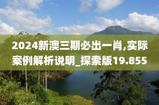 2024新澳三期必出一肖,实际案例解析说明_探索版19.855