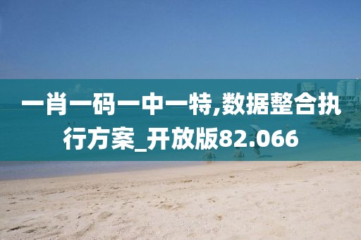 一肖一码一中一特,数据整合执行方案_开放版82.066
