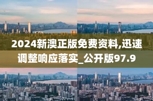 2024新澳正版免费资料,迅速调整响应落实_公开版97.9