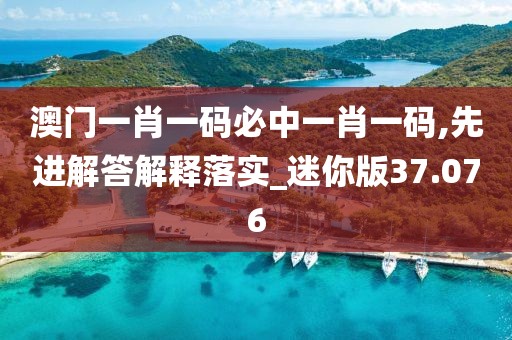 澳门一肖一码必中一肖一码,先进解答解释落实_迷你版37.076