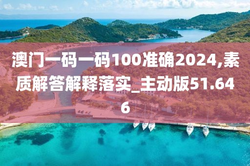 澳门一码一码100准确2024,素质解答解释落实_主动版51.646