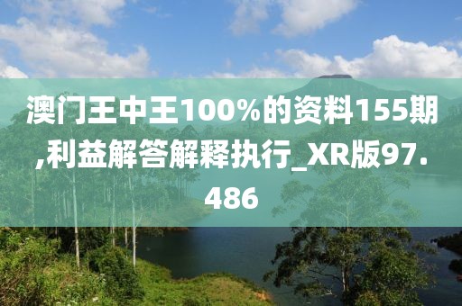 澳门王中王100%的资料155期,利益解答解释执行_XR版97.486