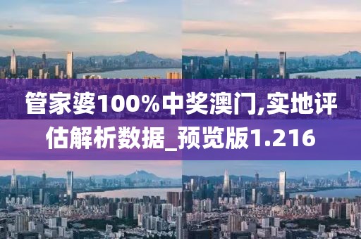 管家婆100%中奖澳门,实地评估解析数据_预览版1.216