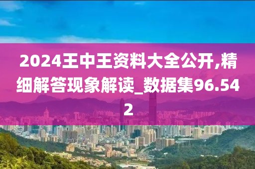 2024王中王资料大全公开,精细解答现象解读_数据集96.542