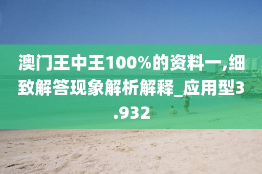 澳门王中王100%的资料一,细致解答现象解析解释_应用型3.932