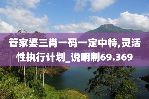 管家婆三肖一码一定中特,灵活性执行计划_说明制69.369