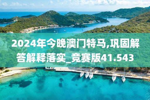 2024年今晚澳门特马,巩固解答解释落实_竞赛版41.543