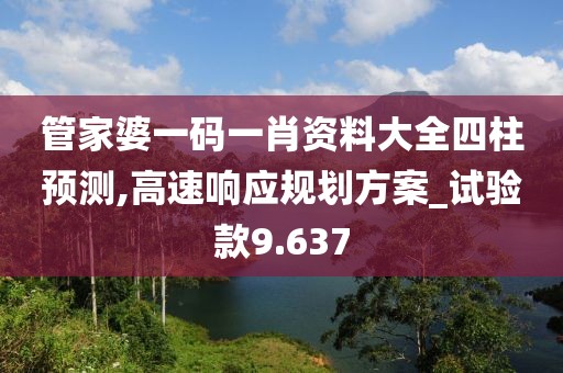 管家婆一码一肖资料大全四柱预测,高速响应规划方案_试验款9.637
