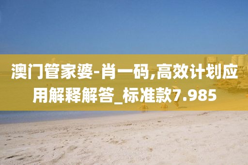 澳门管家婆-肖一码,高效计划应用解释解答_标准款7.985