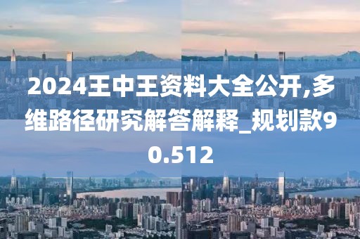 2024王中王资料大全公开,多维路径研究解答解释_规划款90.512