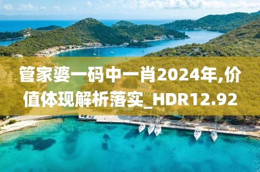 管家婆一码中一肖2024年,价值体现解析落实_HDR12.92