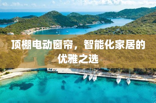 顶棚电动窗帘，智能化家居的优雅之选