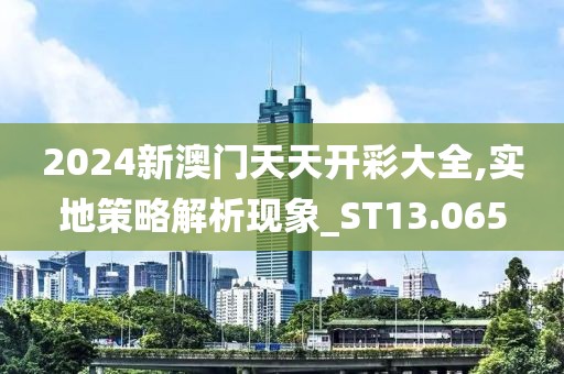 2024新澳门天天开彩大全,实地策略解析现象_ST13.065