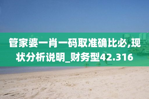 管家婆一肖一码取准确比必,现状分析说明_财务型42.316