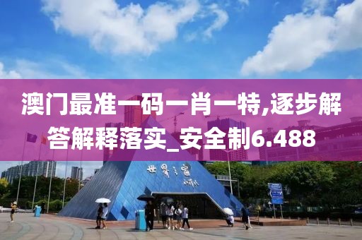 澳门最准一码一肖一特,逐步解答解释落实_安全制6.488