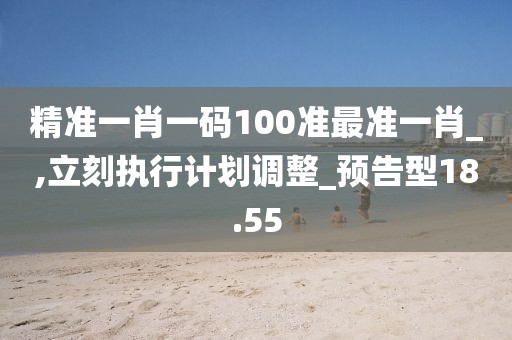 精准一肖一码100准最准一肖_,立刻执行计划调整_预告型18.55