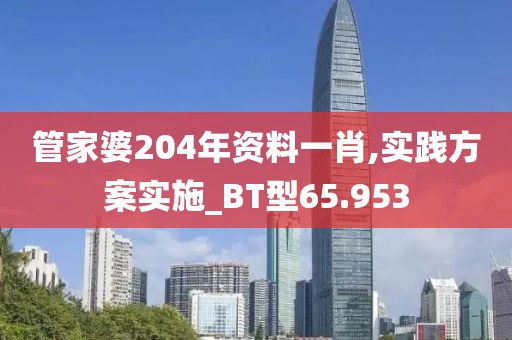 管家婆204年资料一肖,实践方案实施_BT型65.953