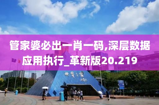 管家婆必出一肖一码,深层数据应用执行_革新版20.219