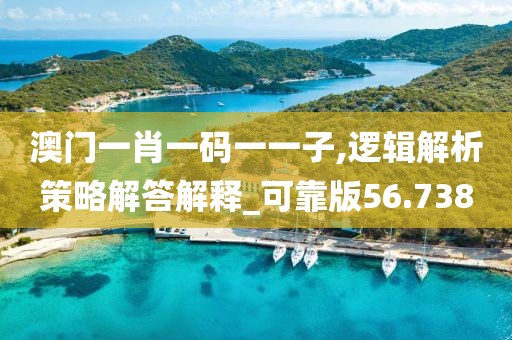 澳门一肖一码一一子,逻辑解析策略解答解释_可靠版56.738