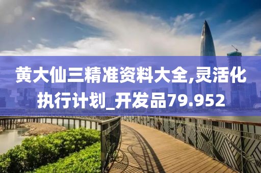 黄大仙三精准资料大全,灵活化执行计划_开发品79.952