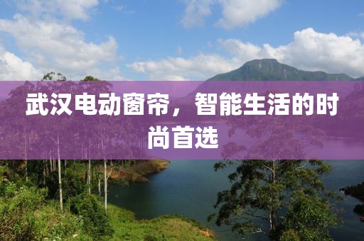 武汉电动窗帘，智能生活的时尚首选