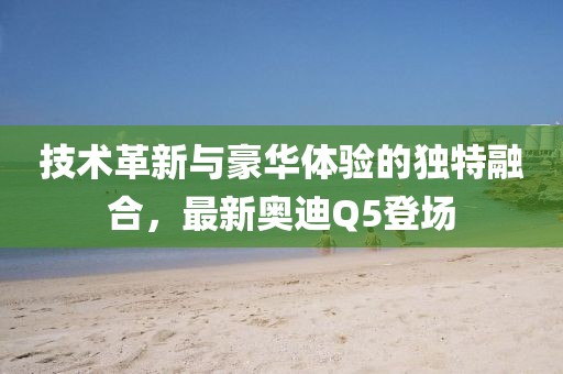 温柔可靠 第52页