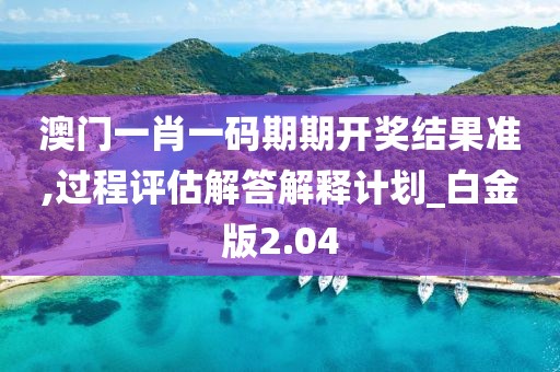 澳门一肖一码期期开奖结果准,过程评估解答解释计划_白金版2.04