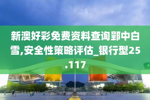 新澳好彩免费资料查询郢中白雪,安全性策略评估_银行型25.117