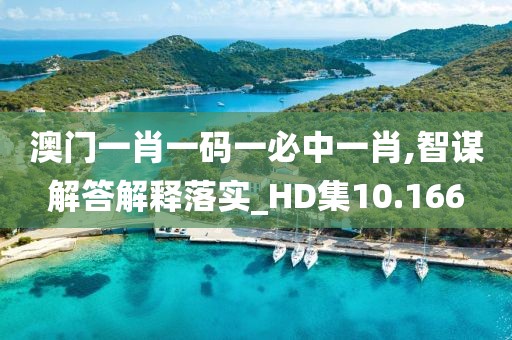 澳门一肖一码一必中一肖,智谋解答解释落实_HD集10.166
