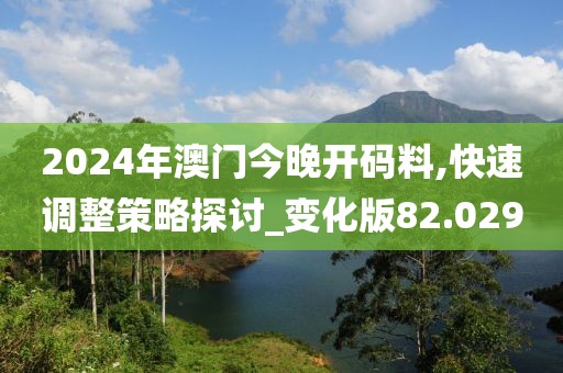 2024年澳门今晚开码料,快速调整策略探讨_变化版82.029