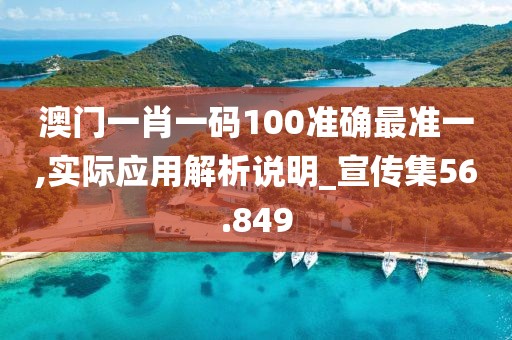 澳门一肖一码100准确最准一,实际应用解析说明_宣传集56.849