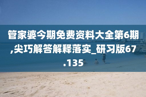 管家婆今期免费资料大全第6期,尖巧解答解释落实_研习版67.135