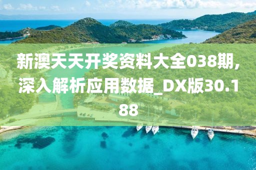 新澳天天开奖资料大全038期,深入解析应用数据_DX版30.188