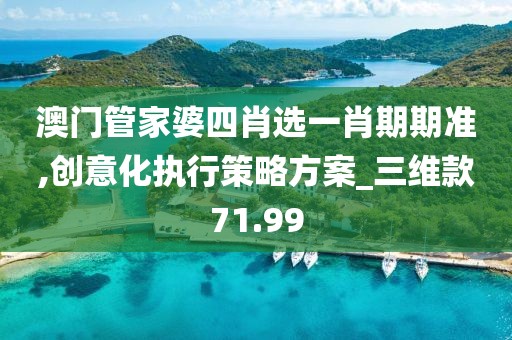 澳门管家婆四肖选一肖期期准,创意化执行策略方案_三维款71.99