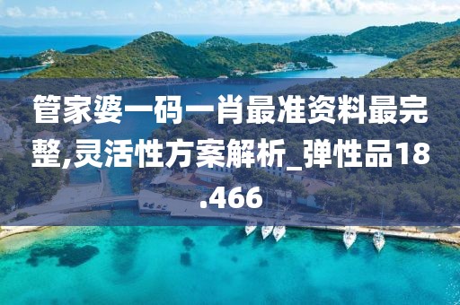 管家婆一码一肖最准资料最完整,灵活性方案解析_弹性品18.466