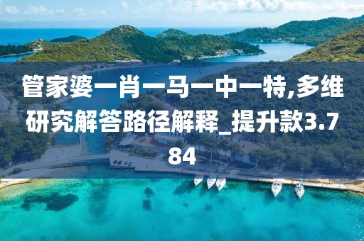 管家婆一肖一马一中一特,多维研究解答路径解释_提升款3.784