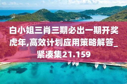 白小姐三肖三期必出一期开奖虎年,高效计划应用策略解答_紧凑集21.159