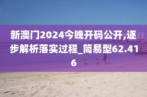 新澳门2024今晚开码公开,逐步解析落实过程_简易型62.416