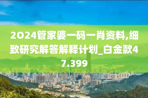 2O24管家婆一码一肖资料,细致研究解答解释计划_白金款47.399