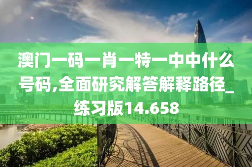 澳门一码一肖一特一中中什么号码,全面研究解答解释路径_练习版14.658