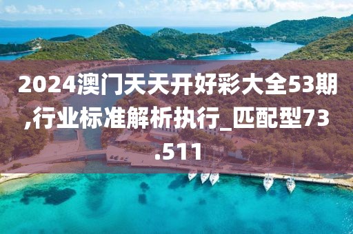 2024澳门天天开好彩大全53期,行业标准解析执行_匹配型73.511