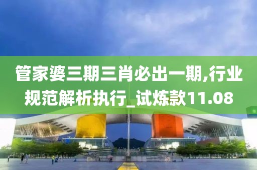 管家婆三期三肖必出一期,行业规范解析执行_试炼款11.08